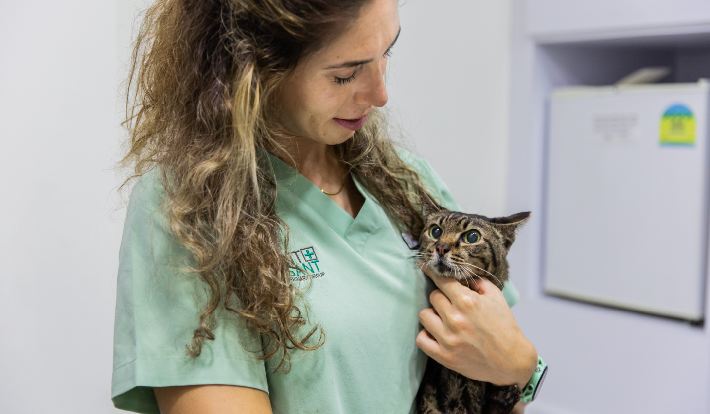 Vet with Cat