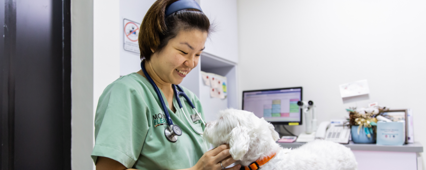 Vet with dog