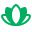 Flower Lotus