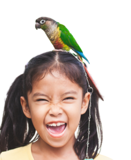 Girl with parrot
