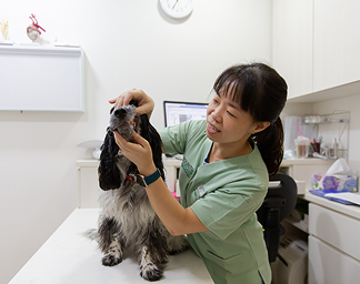 Vet with dog