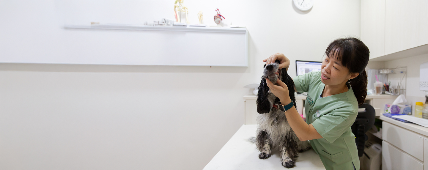 Vet with dog