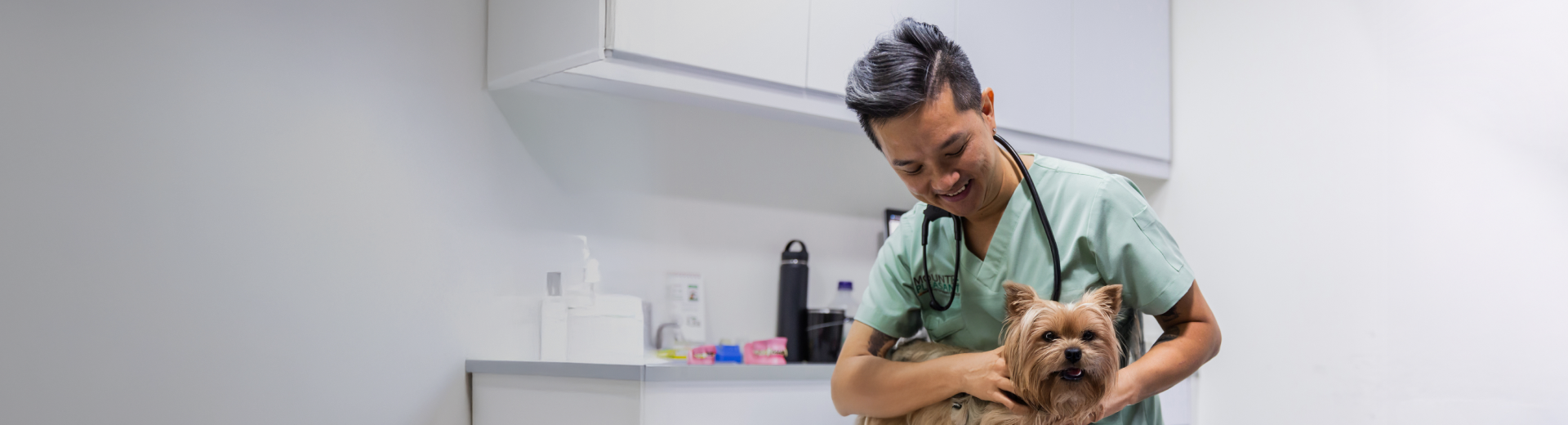 Vet with dog