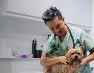 Vet with Dog