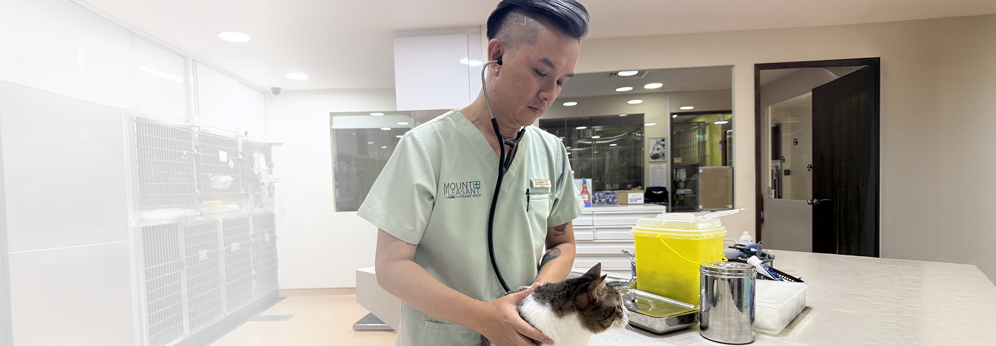 Vet with cat