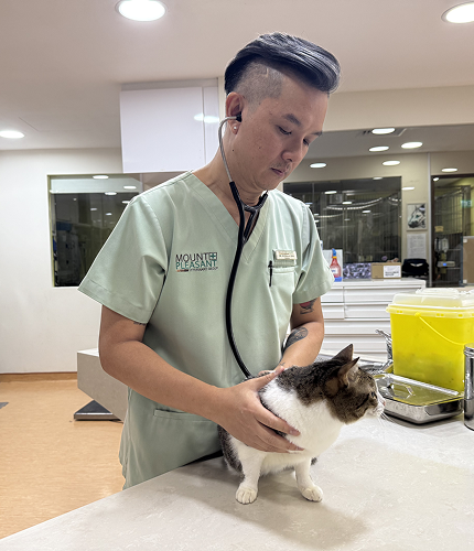 Vet with cat