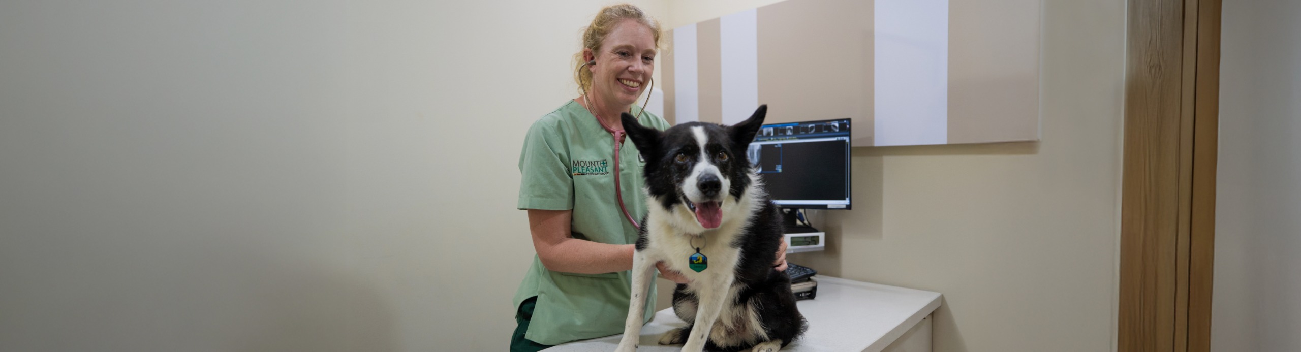 vet with dog